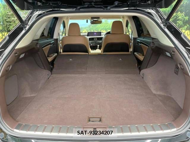 Lexus RX 2017-02 224661-10