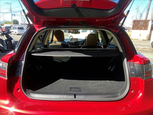 Lexus CT 2014-12 17624-11