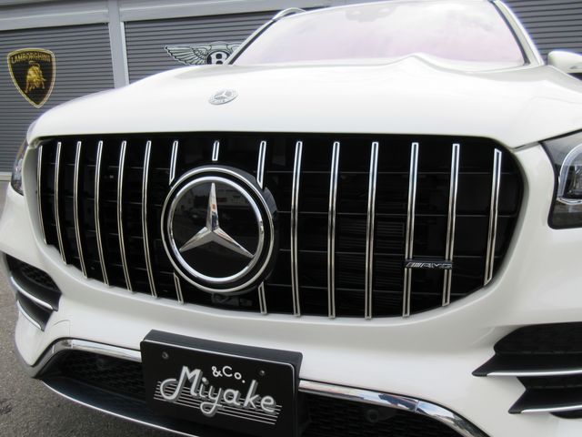 Mercedes Benz GLS-CLASS 2022-05 8095-7