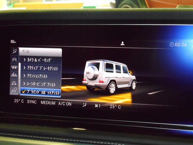 Mercedes Benz G-CLASS 2022-12 184825-12