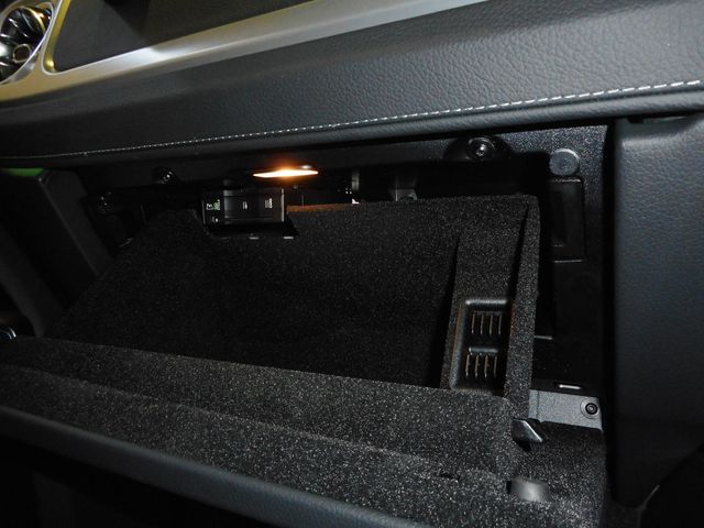 Mercedes Benz G-CLASS 2022-12 184825-16