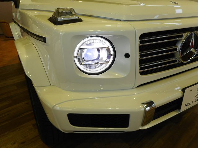 Mercedes Benz G-CLASS 2022-12 184825-27