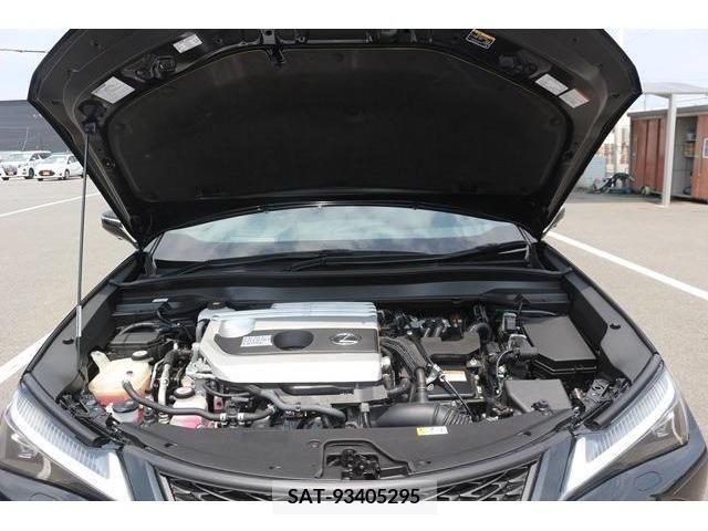 Lexus UX 2019-05 275901-17