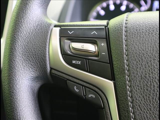 Toyota PRADO 2018-06 13184-12