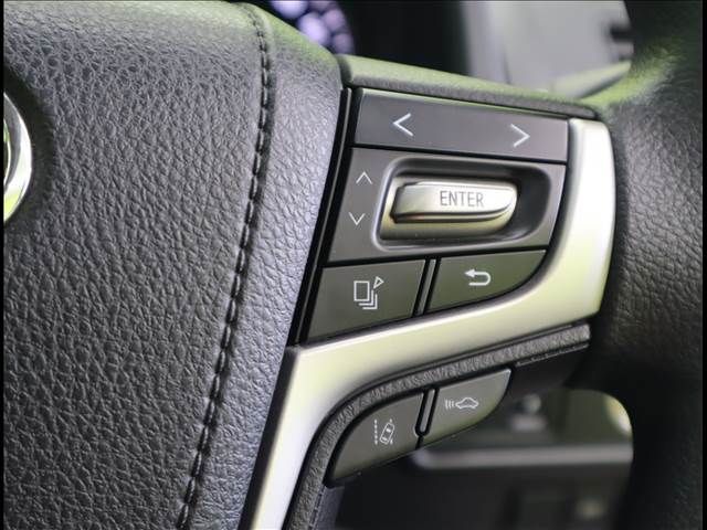 Toyota PRADO 2018-06 13184-13