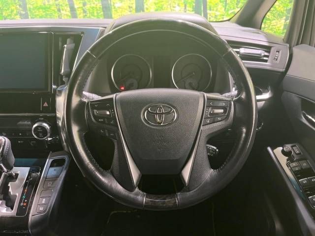Toyota VELLFIRE 2017-06 196645-11