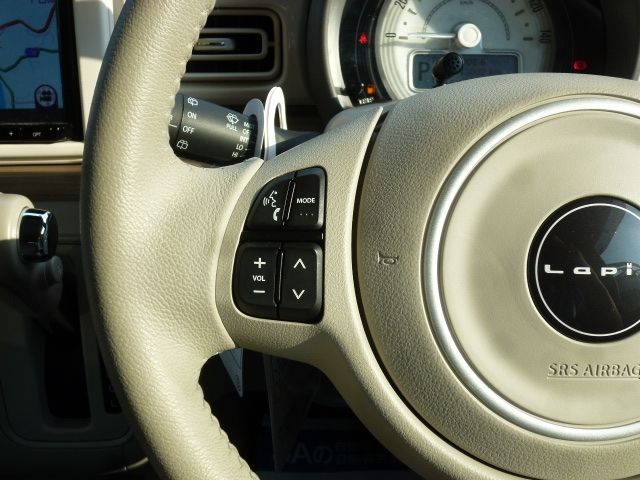 Suzuki LAPIN 2019-07 15313-13