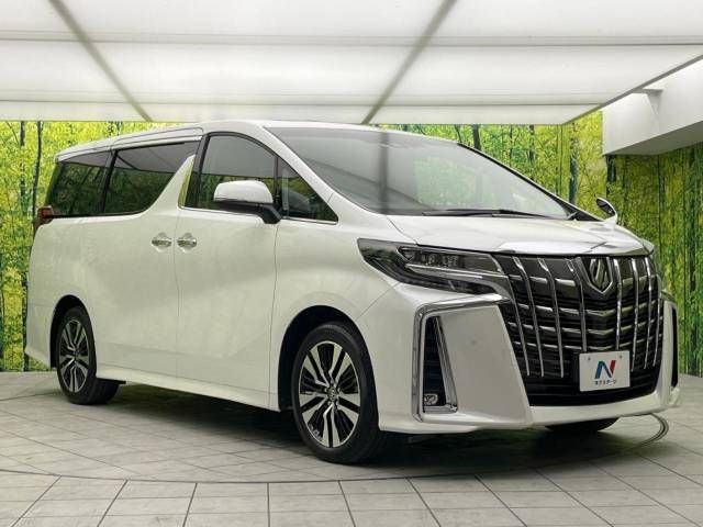 Toyota ALPHARD 2021-01 191607-16