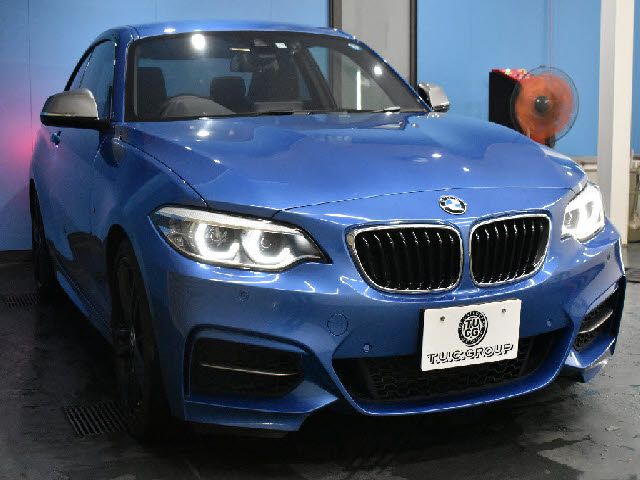 Bmw 2 SERIES 2017-10 24780-24