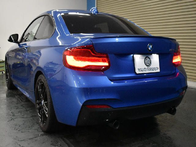Bmw 2 SERIES 2017-10 24780-1