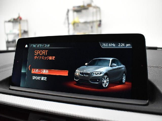 Bmw 2 SERIES 2017-10 24780-17