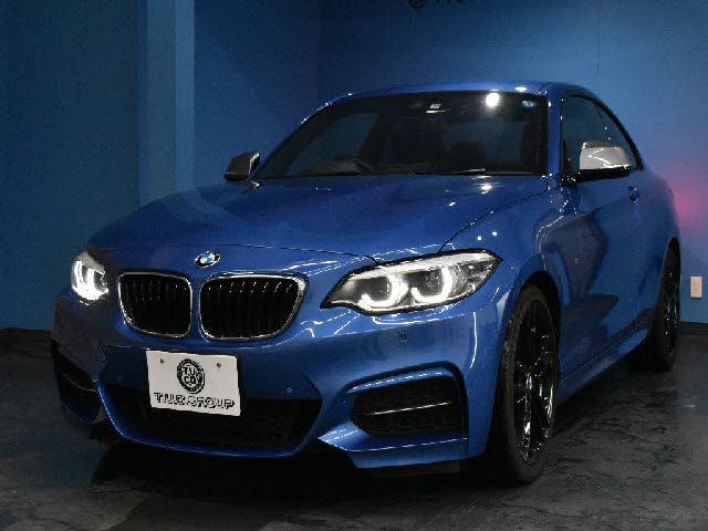 Bmw 2 SERIES 2017-10 24780-25