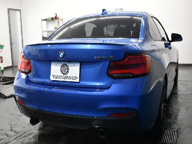 Bmw 2 SERIES 2017-10 24780-28