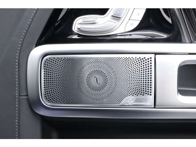 Amg G-CLASS 2021-06 186769-14