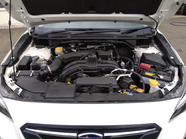 Subaru SUBARU 2018-03 190452-19