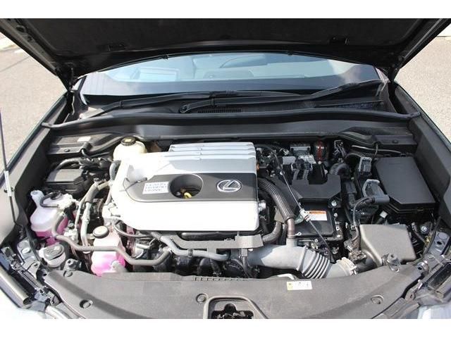 Lexus UX 2020-01 5025-18