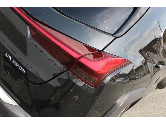 Lexus UX 2020-01 5025-13