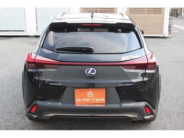 Lexus UX 2020-01 5025-9