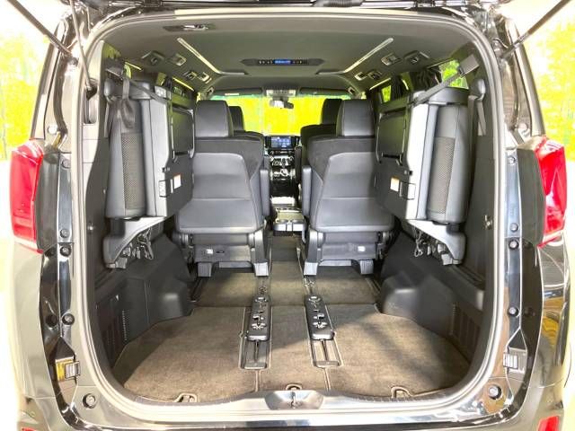 Toyota ALPHARD 2020-12 192526-10
