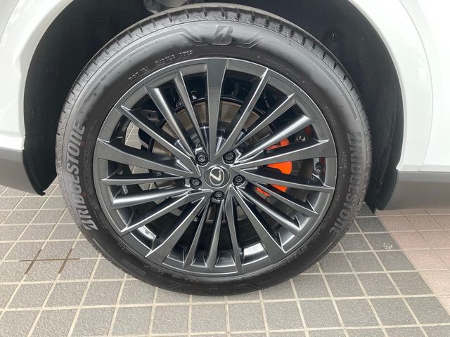 Lexus RX 2023-03 4673-10