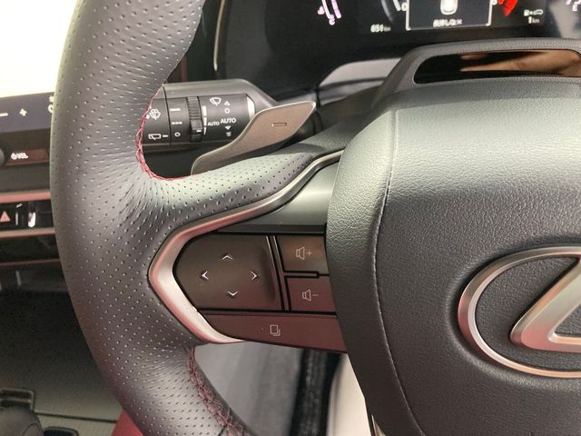 Lexus RX 2023-03 4673-16