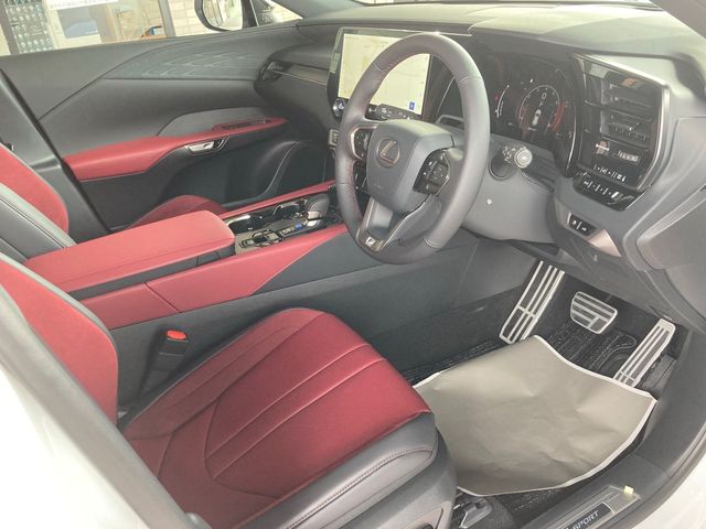 Lexus RX 2023-03 4673-11