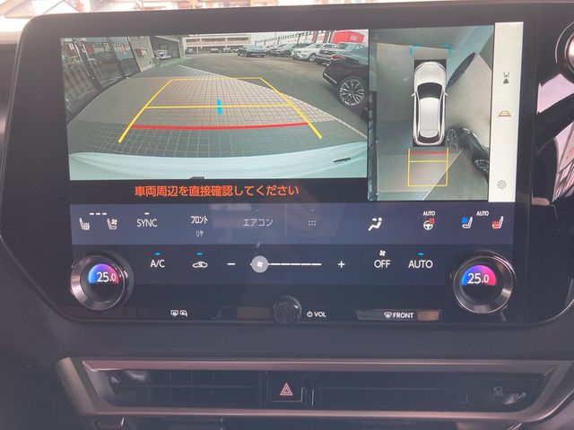 Lexus RX 2023-03 4673-18