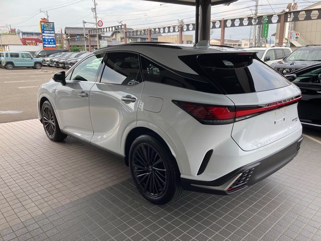 Lexus RX 2023-03 4673-6