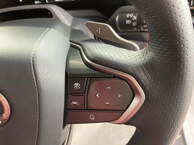 Lexus RX 2023-03 4673-15