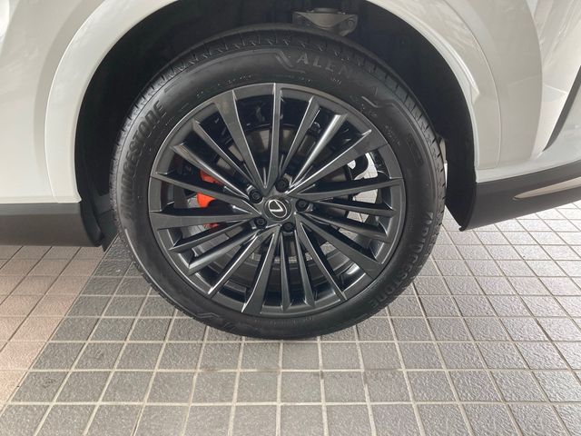 Lexus RX 2023-03 4673-7