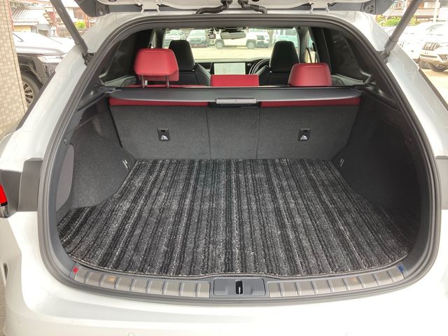 Lexus RX 2023-03 4673-23