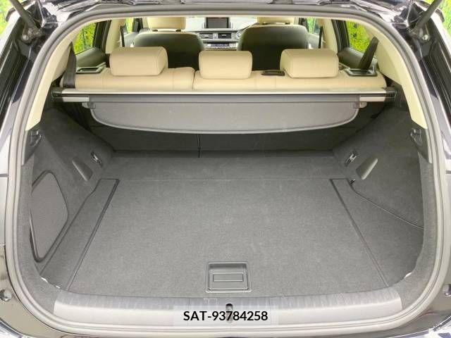Lexus CT 2015-07 387984-10