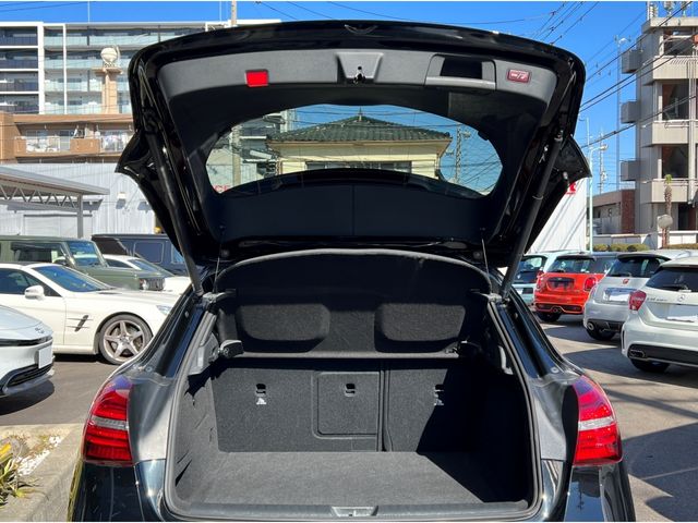 Mercedes Benz GLA-CLASS 2018-03 1849-7