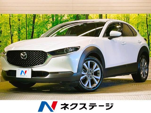Mazda CX-30 2023-03 195688-0