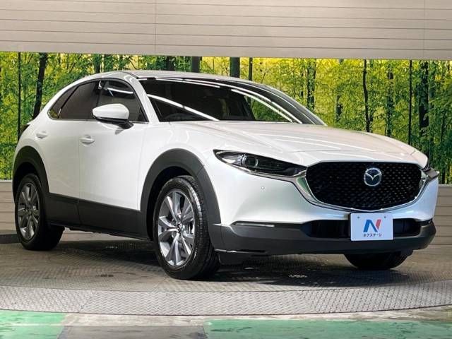 Mazda CX-30 2023-03 195688-15