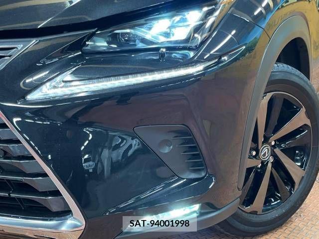 Lexus NX 2019-12 275691-12
