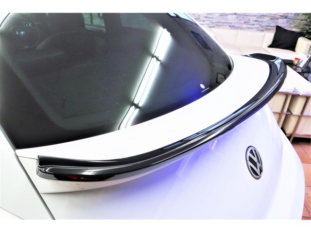 VolksWagen THE BEETLE 2017-06 7155-8