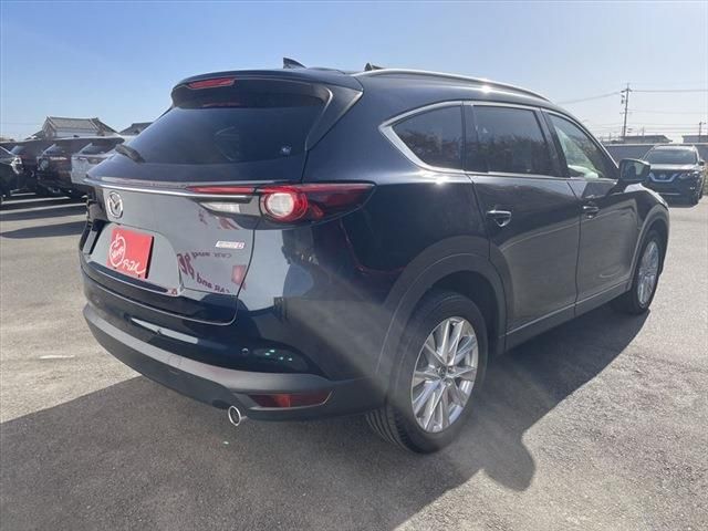 Mazda CX-8 2018-06 25944-4