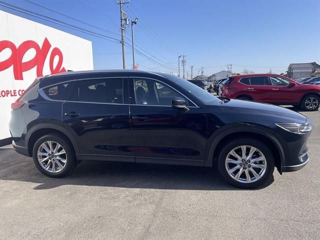 Mazda CX-8 2018-06 25944-3