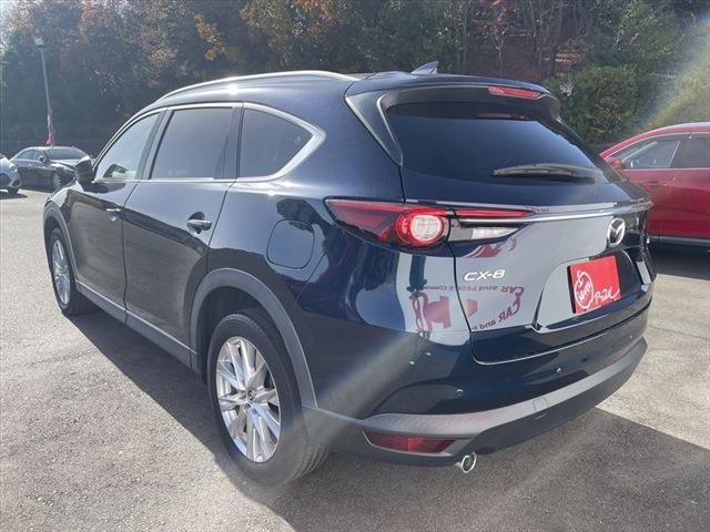 Mazda CX-8 2018-06 25944-6