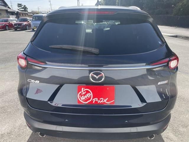 Mazda CX-8 2018-06 25944-5
