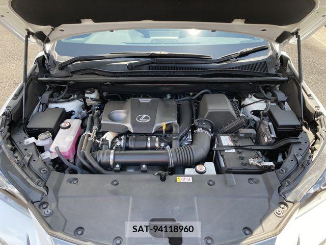 Lexus NX 2020-10 354337-27