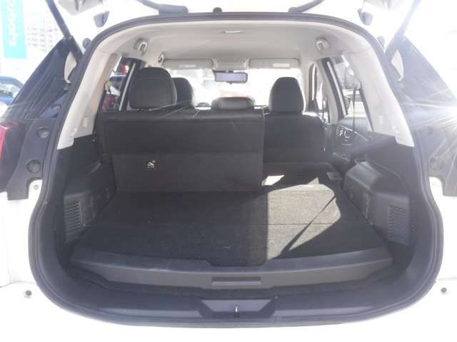Nissan X-TRAIL 2019-07 20591-14