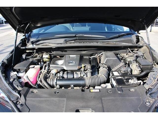 Lexus NX 2018-12 186055-17