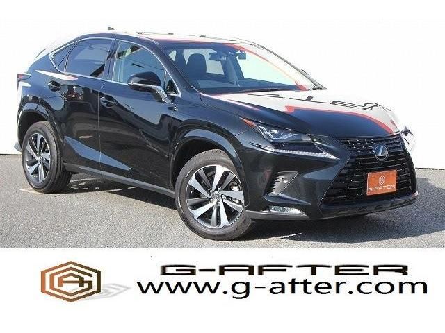 Lexus NX 2018-12 186055-0