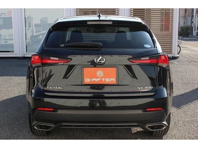 Lexus NX 2018-12 186055-7