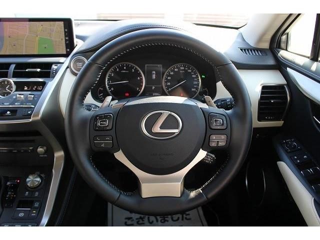 Lexus NX 2018-12 186055-15