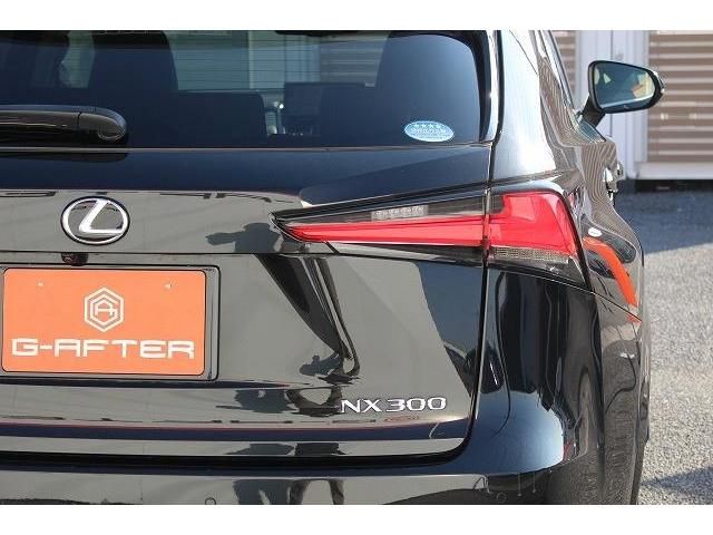 Lexus NX 2018-12 186055-11