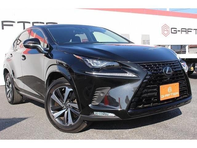 Lexus NX 2018-12 186055-10