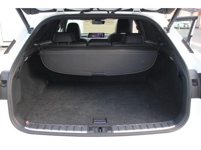 Lexus RX 2016-12 7191-17